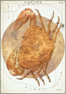 Venus_Cancer